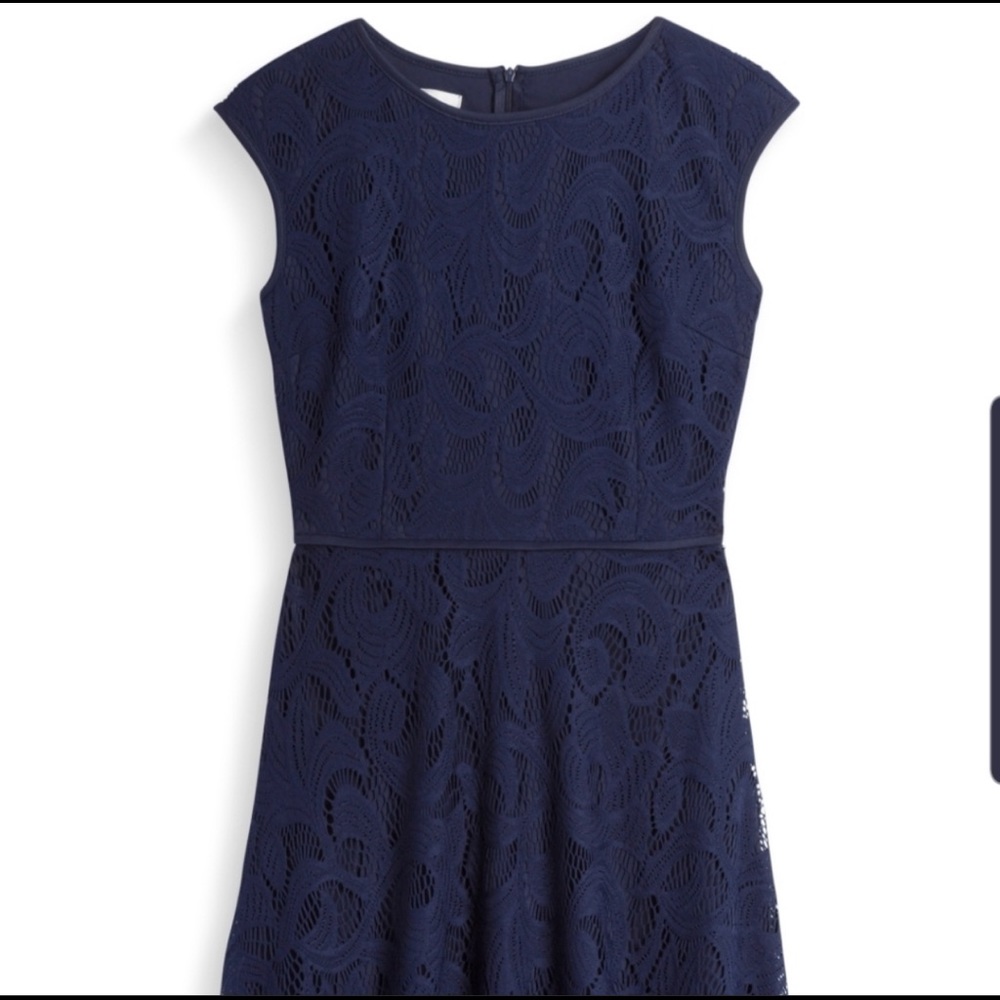 Stitch Fix Wisp Leeah Lace Knit Dress